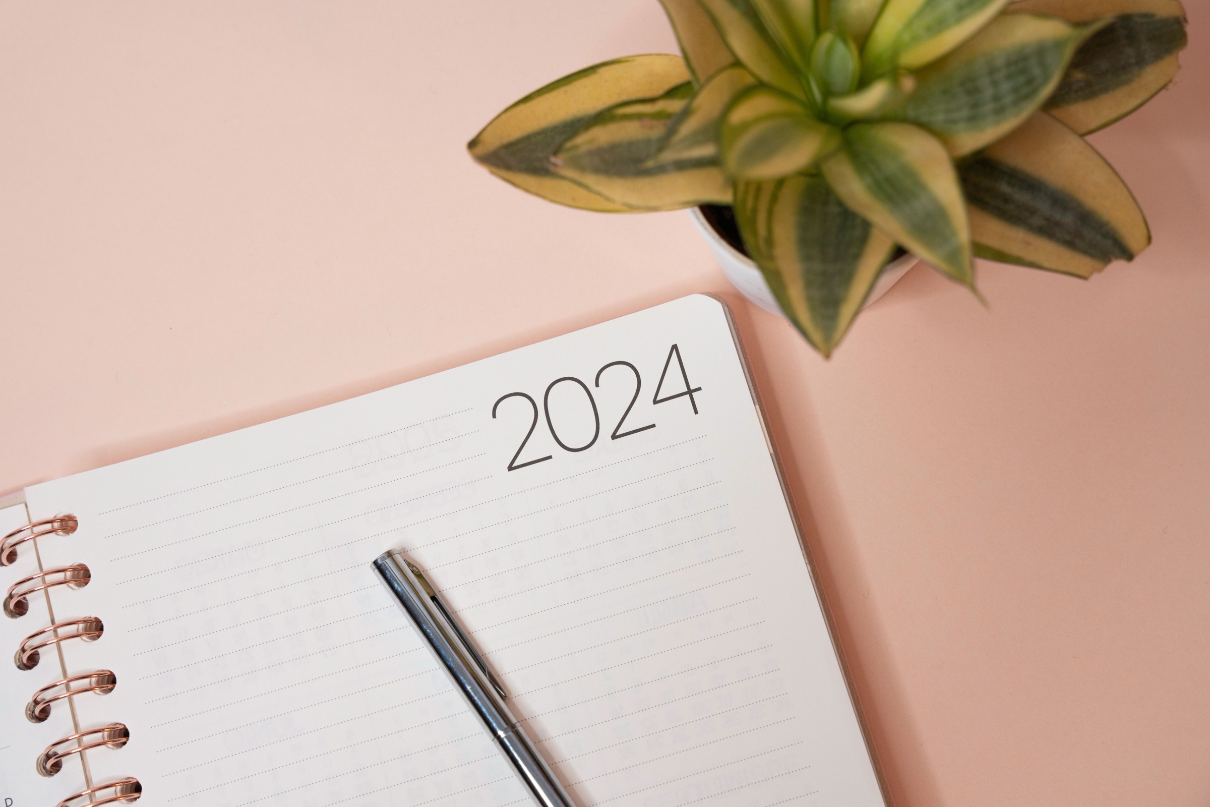 Een opengeslagen agenda met een pen, naast een plant op een roze ondergrond.